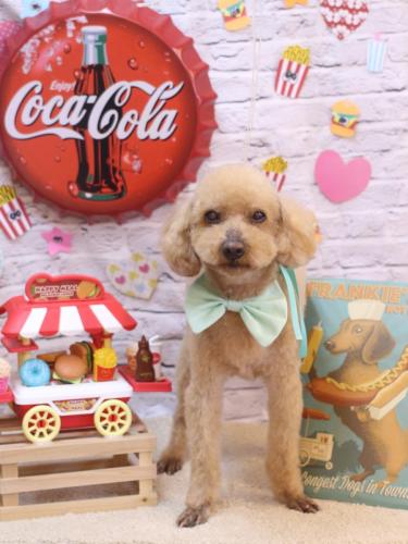 20230928かおるくん